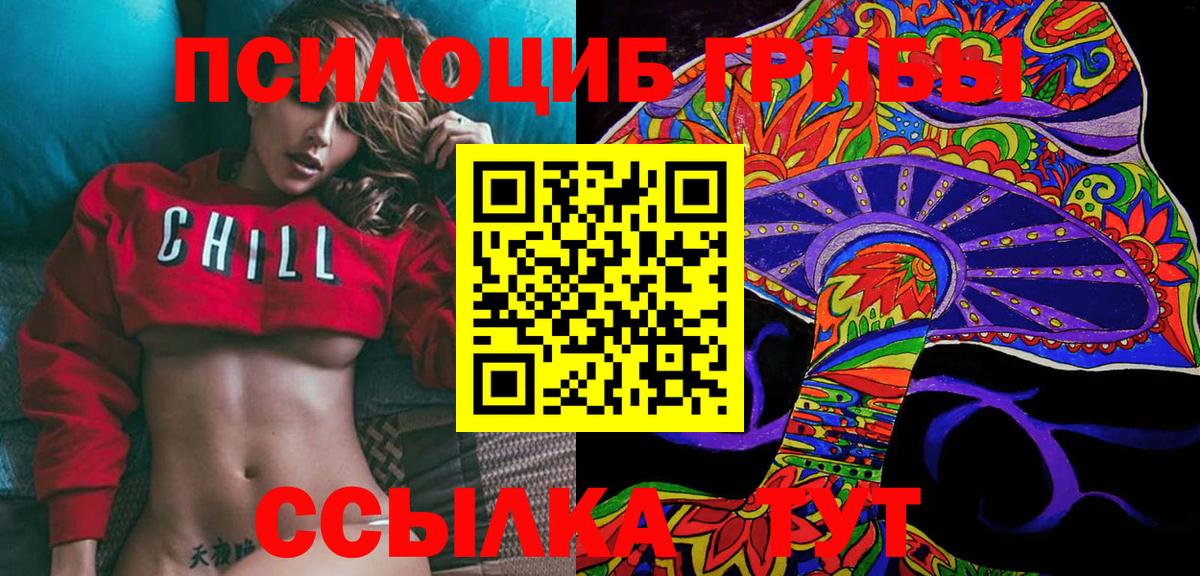 Сегежа  Галлюциногенные грибы прущие грибы  Вход с VPN 